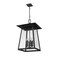Z-Lite Rainer 6 Light Outdoor Chain Mount Ceiling Fixture, 17.5in. W x 28in. H, Black 5015CHXXL-BK - alternate 5